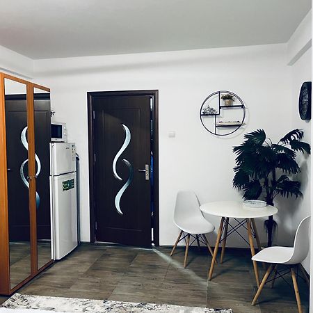 Studio Vio Tulcea Exterior photo